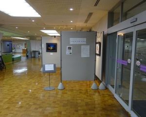 DSC04934-6404804