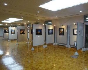 DSC04937-6404803