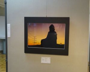 DSC04938-6404804