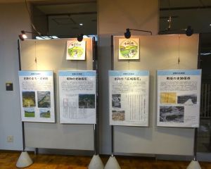 4s-DSC03047