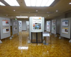 1s-DSC03639