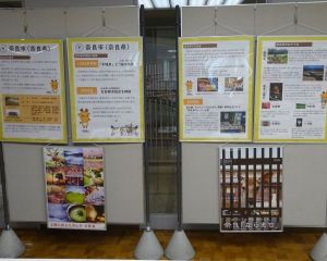 DSC06642-6404802