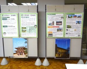 DSC06643-6404803