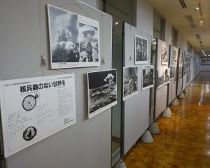DSC06059-640480