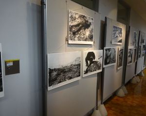 DSC06061-640480