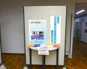 DSC04878-6404801