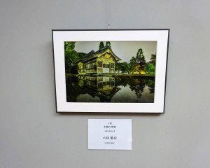 DSC04887-6404803
