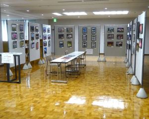 DSC06542-6404804