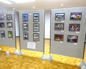 DSC06544-6404802