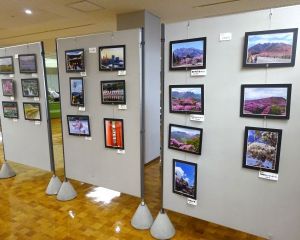 DSC06545-6404803