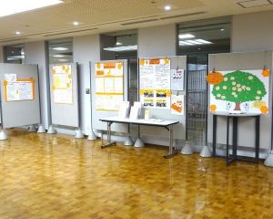 DSC06239-6404801