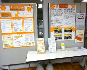 DSC06242-6404803
