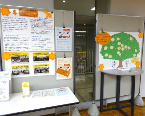 DSC06243-6404804