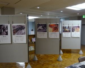 DSC05858-640480